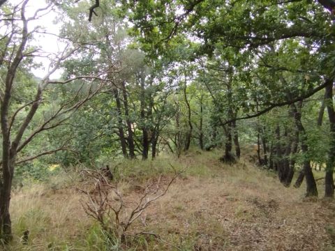 Strada Milia - Biancavilla