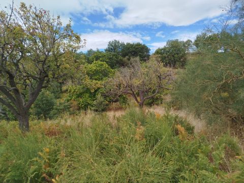 Strada Milia - Biancavilla