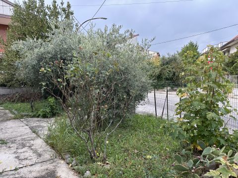 Via Croce Vecchia, 78 - Tollo