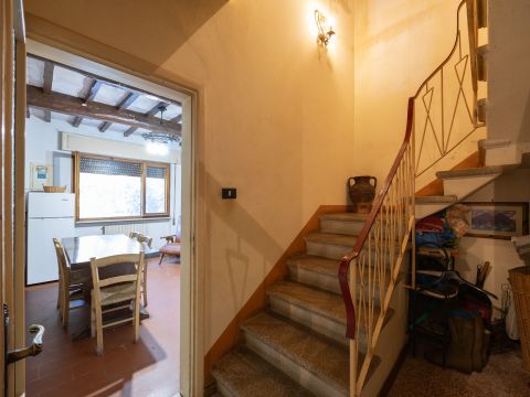 via di Montigiano,126 - Massarosa