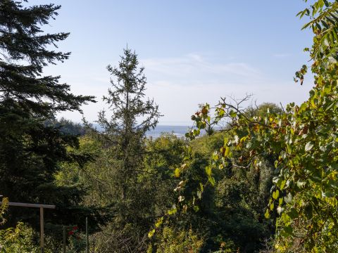 via di Montigiano,126 - Massarosa