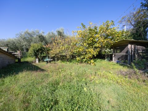 via di Montigiano,126 - Massarosa