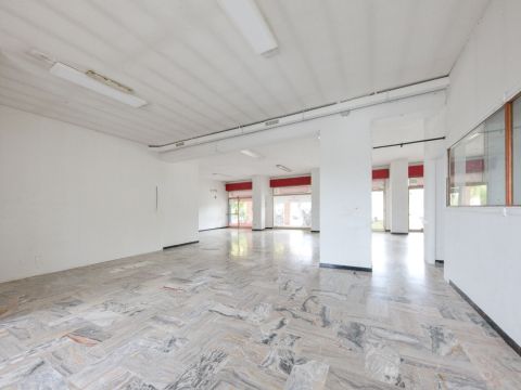 Viale Stazione Centrale - Ovada