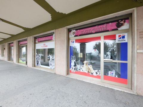 Viale Stazione Centrale - Ovada
