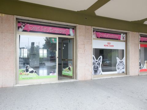 Viale Stazione Centrale - Ovada