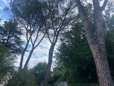 Via G. Donizetti, 31 - Zagarolo