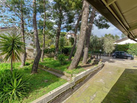 Via G. Sciuti, 10 - Mascalucia