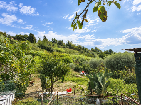 Via San Pietro, 21 - Sant'omero
