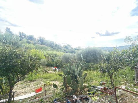 Via San Pietro, 21 - Sant'omero