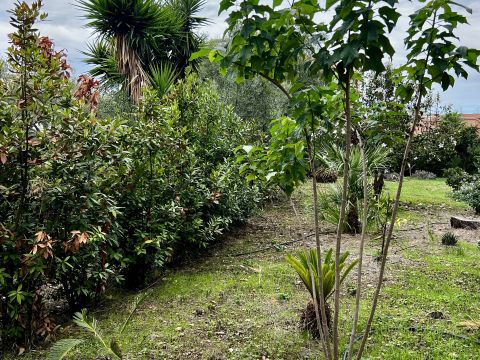Via Brigadiere Nastasi, 3 - Sciacca