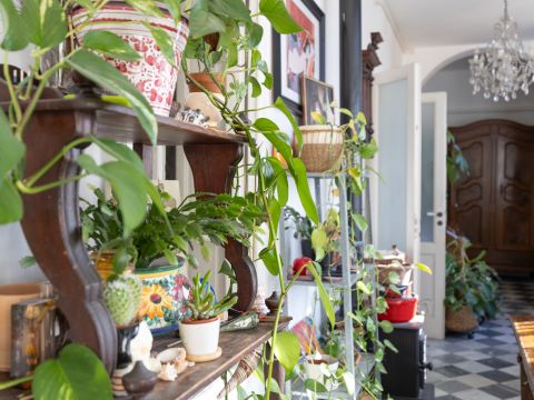 Via Borra, 29 - Livorno