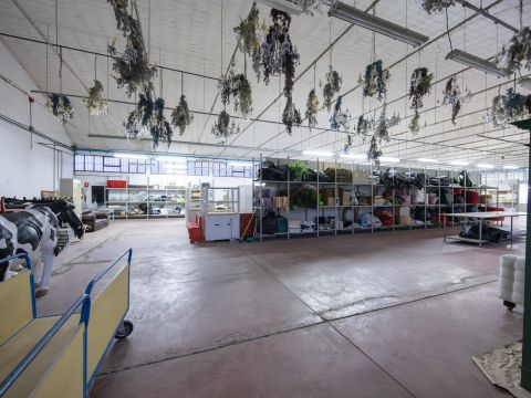 Via Marco Polo, 105 - Bientina