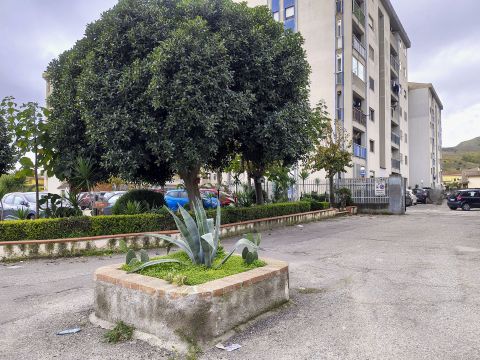 Via dei Conti Falluc, 70 - Catanzaro