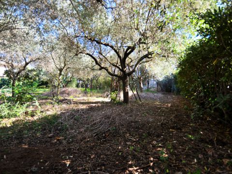 Via Genio Civile - Aprilia