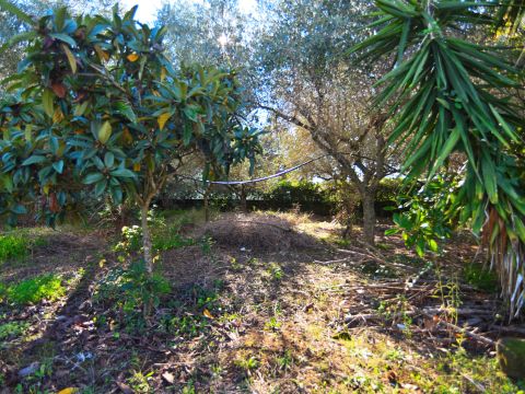 Via Genio Civile - Aprilia