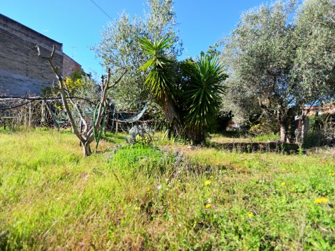 Via Genio Civile - Aprilia