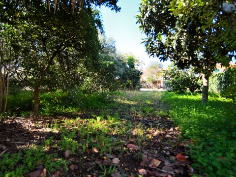 Via Genio Civile - Aprilia