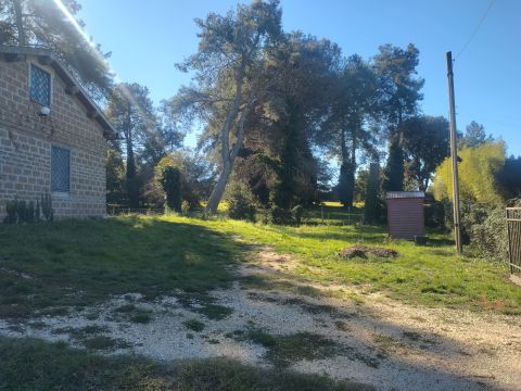 Via dei Piani, 253 - Nepi