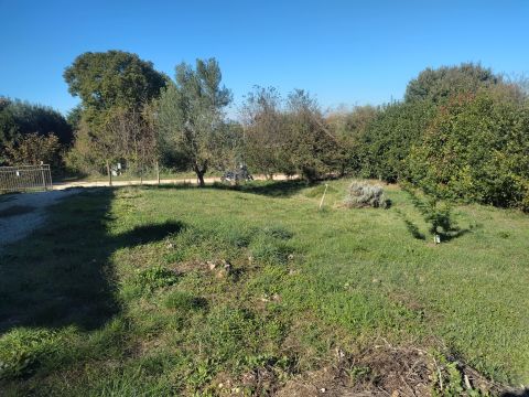 Via dei Piani, 253 - Nepi