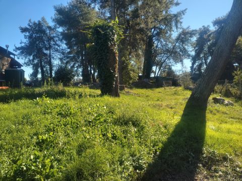 Via dei Piani, 253 - Nepi