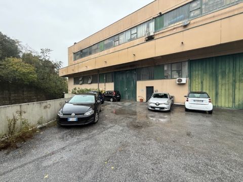 Via Augusto Pedullà - Genova