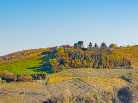 Via Circonvallazione, 19 - Castiglione Tinella