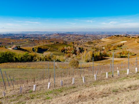 Via Circonvallazione, 19 - Castiglione Tinella