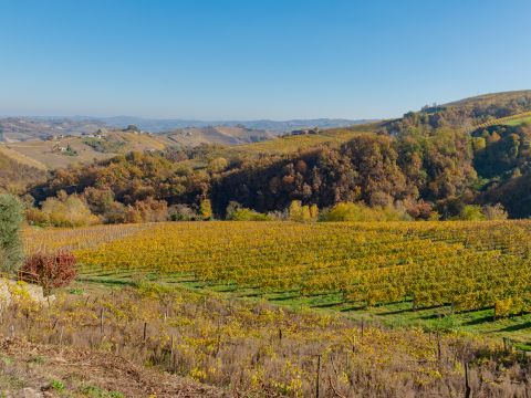 Via Circonvallazione, 19 - Castiglione Tinella