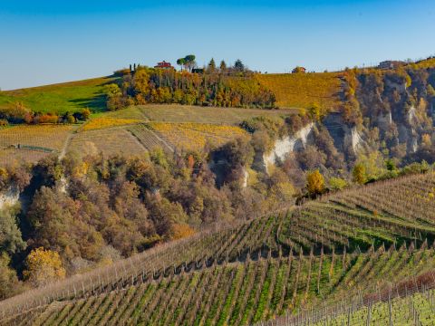 Via Circonvallazione, 19 - Castiglione Tinella