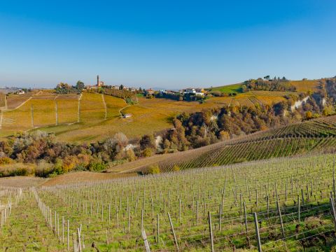 Via Circonvallazione, 19 - Castiglione Tinella