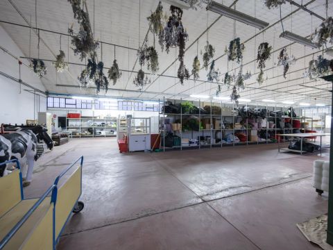 Via Marco Polo, 105 - Bientina