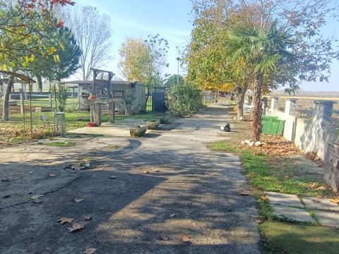 Via Campanella - Suardi