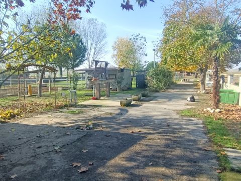 Via Campanella - Suardi