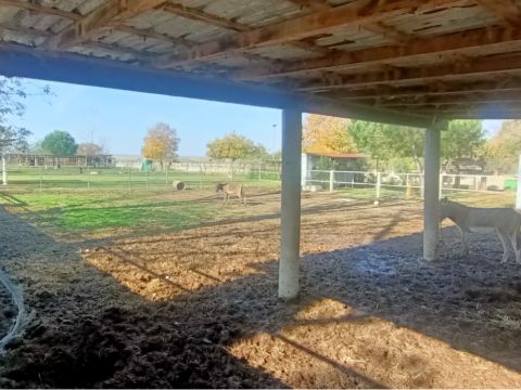 Via Campanella - Suardi