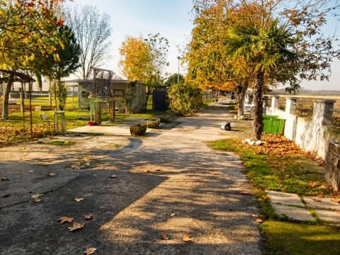 Via Campanella - Suardi