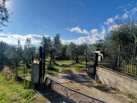 Via Palmente, 42 - Rogliano