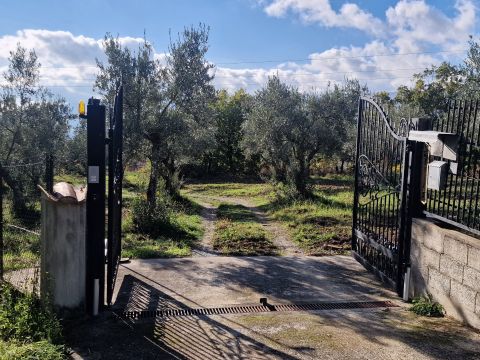 Via Palmente, 42 - Rogliano