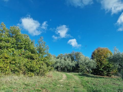 Via Palmente, 42 - Rogliano