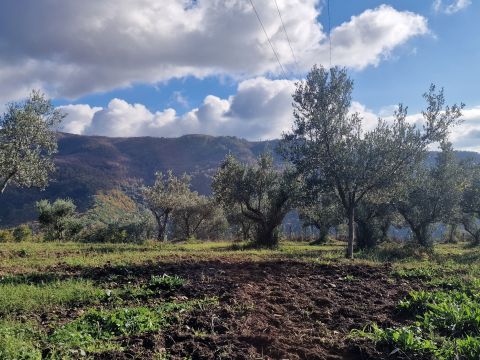 Via Palmente, 42 - Rogliano
