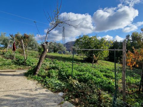 Via Palmente, 42 - Rogliano