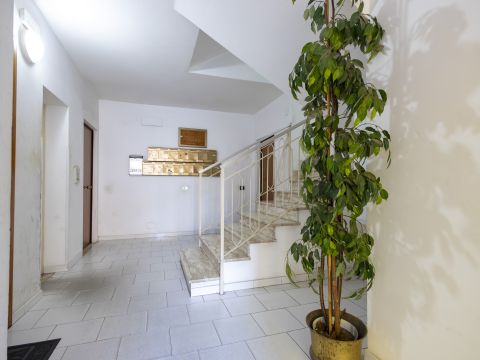 Viale Cassiodoro, 279 - Catanzaro