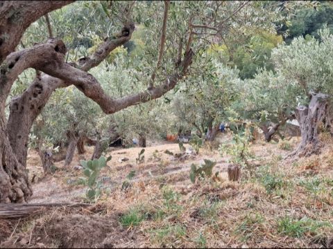 Via Giuseppe Maria Muscari - Catanzaro