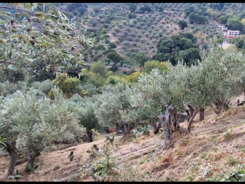 Via Giuseppe Maria Muscari - Catanzaro