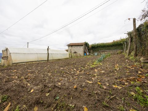 Località Villa Regnano - Casola In Lunigiana