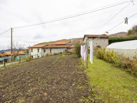 Località Villa Regnano - Casola In Lunigiana
