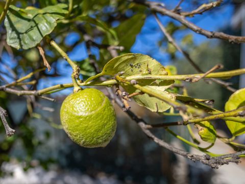 Strada Crocifisso, 6 - Bari
