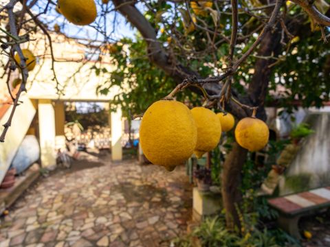 Via Angitola, 56 - Catanzaro