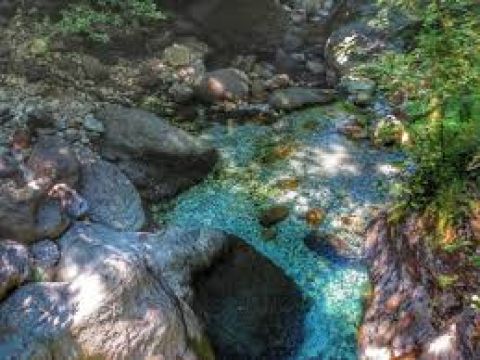 Via Cappella, 1907 - Seravezza