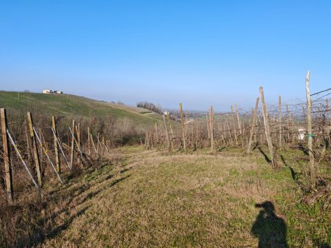 FRAZIONE CAMPORELLO 5 - San Damiano Al Colle