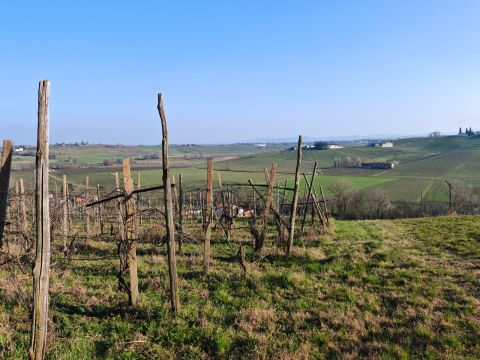 FRAZIONE CAMPORELLO 5 - San Damiano Al Colle